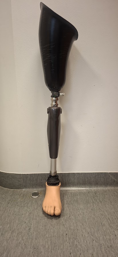 Reieprotees C-leg - Image 2